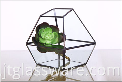 Shape Glass Terrarium Geometric